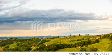 Panorama of vineyards hills in south Styria, 65173177