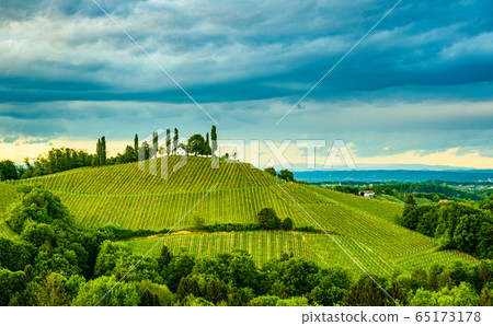 South styria vineyards landscape, near Gamlitz, South styria vineyards landscape, near Gamlitz, 65173178