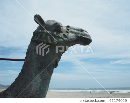 Camel statue on the coast of Onjuku 65174029