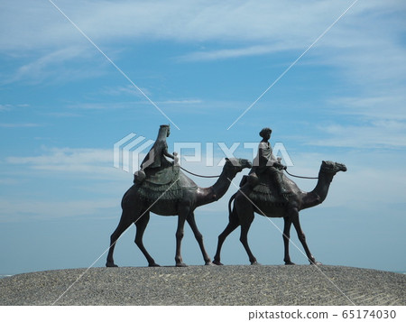 Camel statue on the coast of Onjuku 65174030