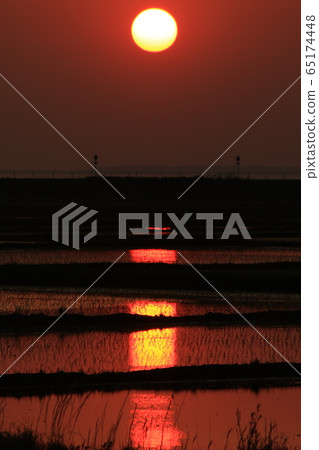 Rural landscape sunset sunset rice paddy rice field 65174448