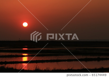 Rural landscape sunset sunset rice paddy rice field 65174449