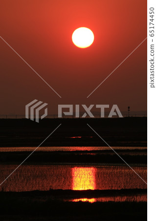 Rural landscape sunset sunset rice paddy rice field 65174450