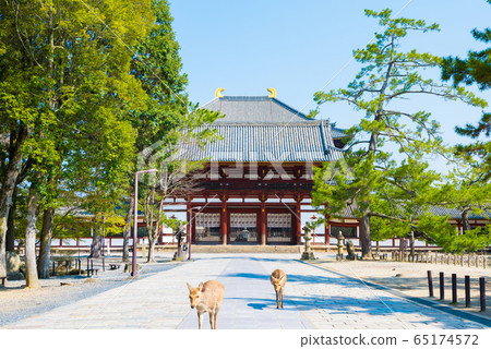 Todaiji Nakamon and precinct scenery Deer (Nara City, Nara Prefecture) Todaiji Nakamon and precinct scenery Deer (Nara City, Nara Prefecture) 65174572
