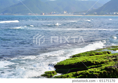 維納斯海岸 維納斯海岸 65175170