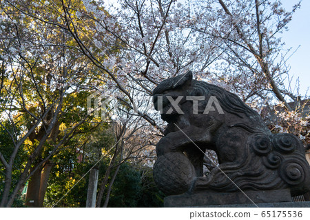Komainu Oiso Takagi Shrine (Koma Shrine) Komainu Oiso Takagi Shrine (Koma Shrine) 65175536