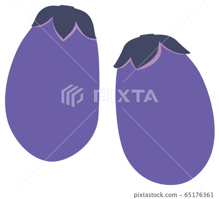 Eggplant eggplant eggplant vegetable vector 65176361