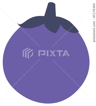 Eggplant eggplant eggplant vegetable vector Eggplant eggplant eggplant vegetable vector 65176369