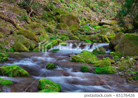 《鳥取縣》宮澤山stream 65176426