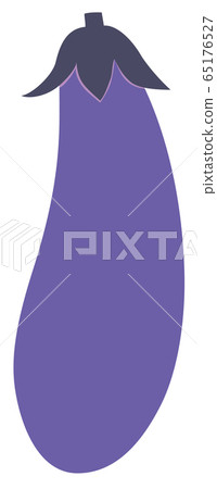 Eggplant eggplant eggplant vegetable vector Eggplant eggplant eggplant vegetable vector 65176527