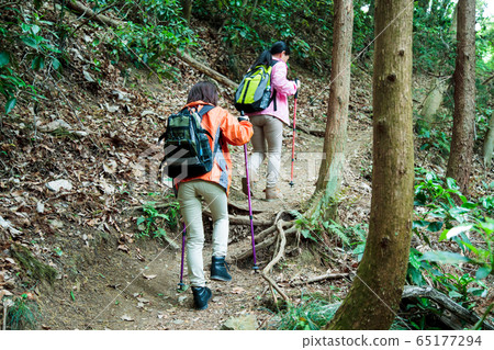 登山山女孩遷徙的朋友登山山室外遠足 65177294