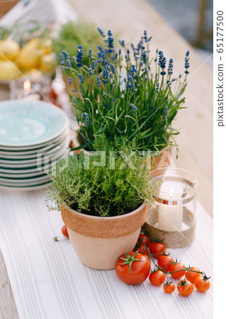 Wedding dinner table reception at sunset outside. Ancient rectangular wooden tables with rag runner, wooden vintage chairs, lavender pots, cherry tomatoes and clay pots with lemons on tables 65177500