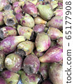 Cactus Pear multiple 65177908