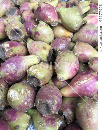 Cactus Pear multiple Cactus Pear multiple 65177908