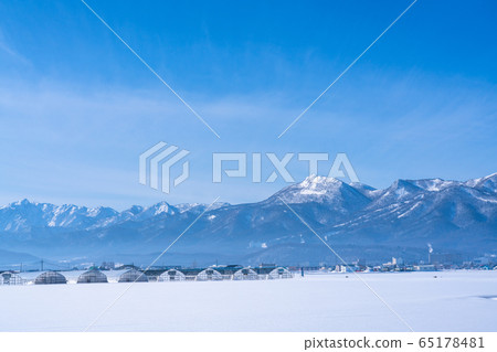 《北海道》北海道中富良野町雪景 65178481
