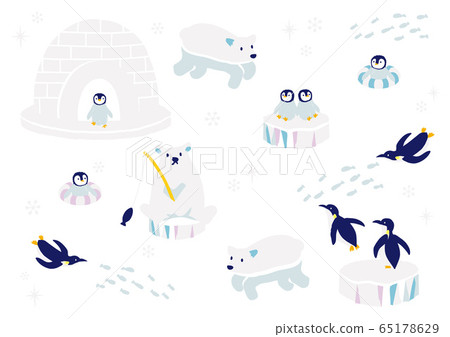 Antarctica animals illustration 65178629