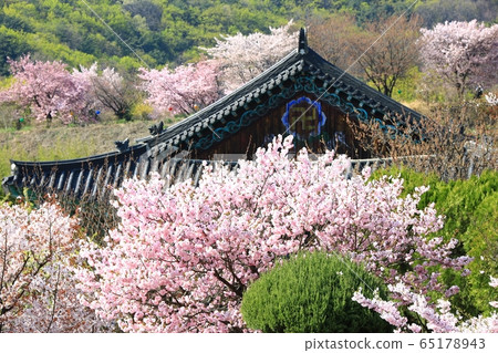 Cheonan, Gakwonsa Temple, Buddha's Day, Cheonan, Gakwonsa Temple, Buddha's Day, 65178943