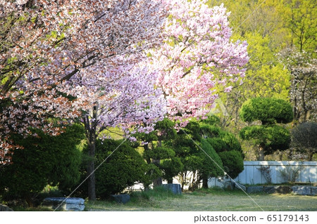 Buddha's day, each temple 65179143