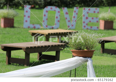 Flower garden 65179162