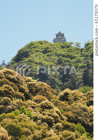 金開山和岐阜城堡，樹木盛開 65179379