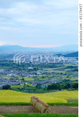 信州千曲市和梯田稻田 65179457