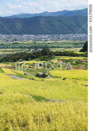 信州Obasute水稻梯田 信州Obasute水稻梯田 65179606