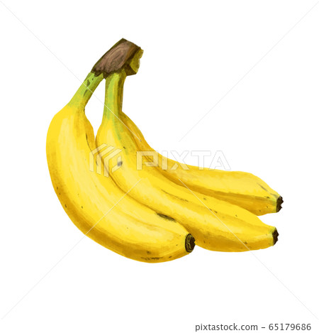 Illustration of real touch banana Illustration of real touch banana 65179686