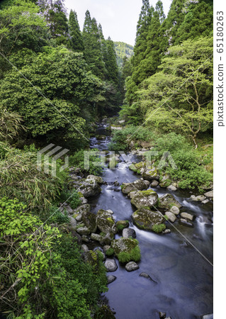 Nature  65180263