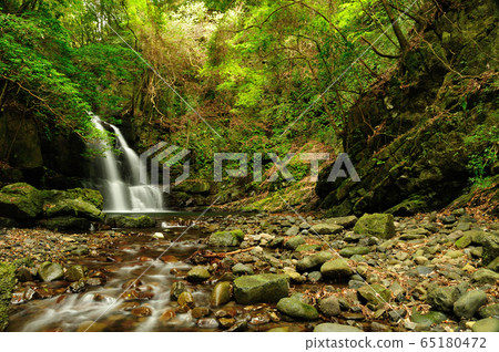 Arataki Waterfall 65180472