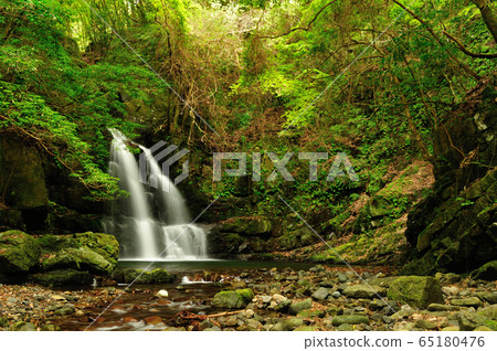 Arataki Waterfall Arataki Waterfall 65180476