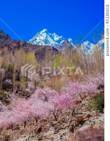 landscape view of Hunza Valley, Pakistan 65180818