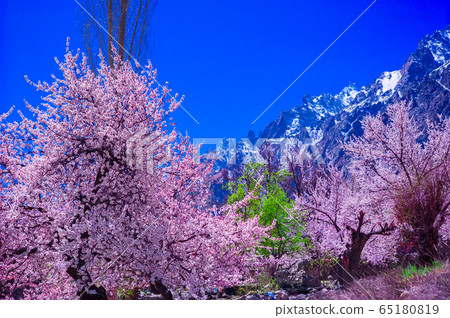 landscape view of Hunza Valley, Pakistan 65180819