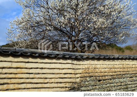 Old tile earthen wall 65183629