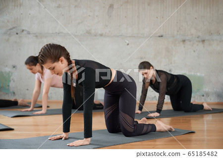 Group of women practicing dog pose. 65185482
