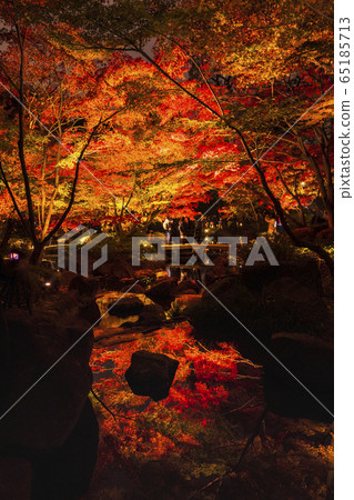 杉並區杉久保Otaguro公園秋葉照亮 65185713