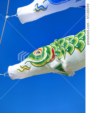 Carp streamer Carp streamer 65186049