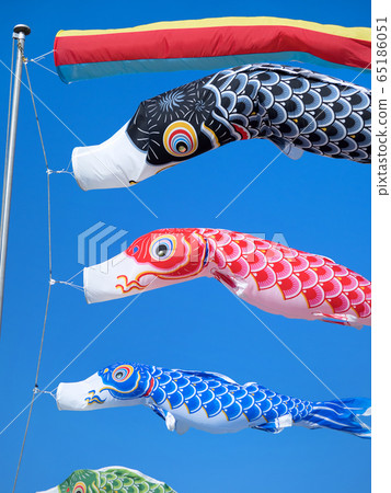Carp streamer 65186051