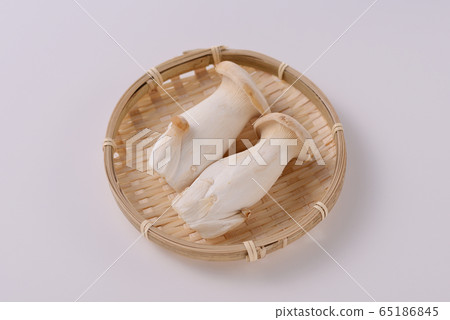 king oyster mushroom king oyster mushroom 65186845