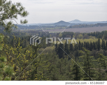 Spring landscape in Lusatian Mountains view from sandstone rocks, green hills, fresh deciduous and spruce tree forest. Blue sky background, horizontal, copy space 65186887