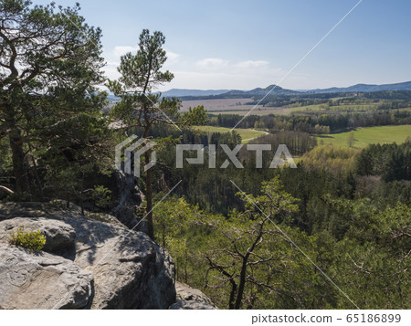 Spring landscape in Lusatian Mountains view from sandstone rocks, green hills, fresh deciduous and spruce tree forest. Blue sky background, horizontal, copy space 65186899