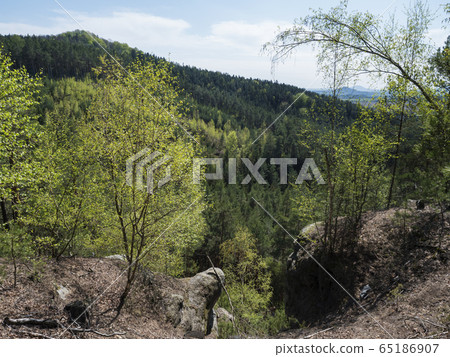 Spring landscape in Lusatian Mountains view from sandstone rocks, green hills, fresh deciduous and spruce tree forest. Blue sky background, horizontal, copy space 65186907