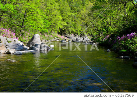 Spring in Dalung Valley 65187569