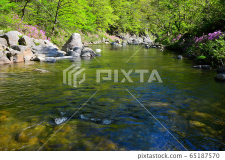 Spring in Dalung Valley Spring in Dalung Valley 65187570