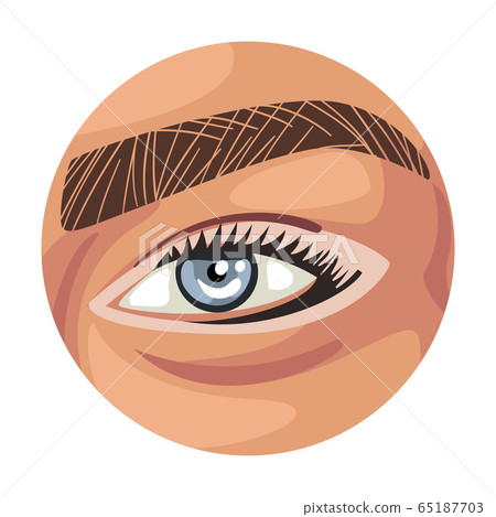 Female Light Blue Eye Eye in the Circle, Part of Human Face Vector Illustration on White Background 65187703