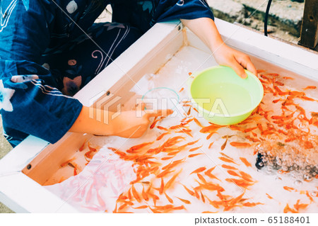 Goldfish scooping Goldfish scooping 65188401