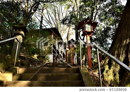 Todoroki Fudoson 65188606