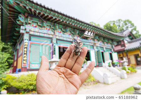 Seongbulsa Temple, Buddhism, Religion Seongbulsa Temple, Buddhism, Religion 65188962