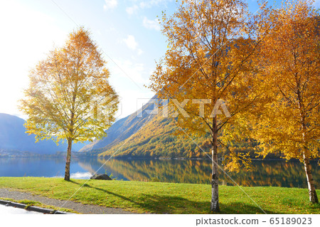 Fall in norway 65189023
