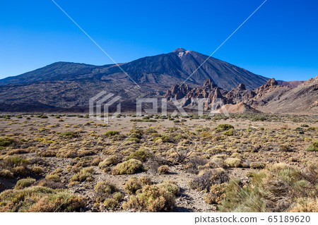 View of Teide volcano with its lava fields View of Teide volcano with its lava fields 65189620