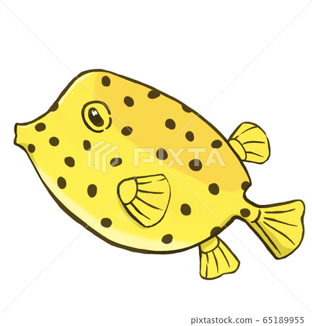 Southern boxfish, Yuru system illustration, white background 65189955